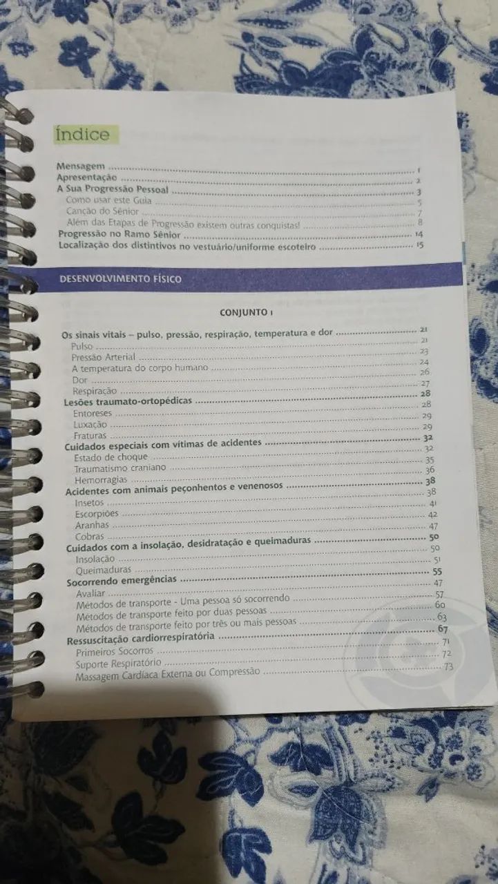 Guia Desafio Sênior  - Foto 2