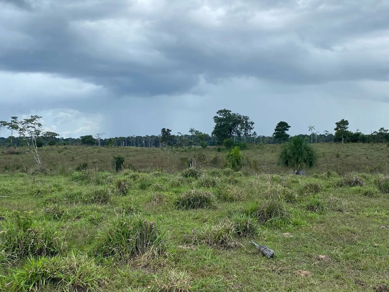 Terra a venda - Foto 4