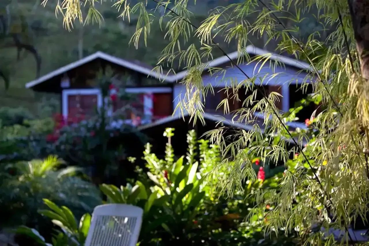 Santo Antônio Sítio na floresta exuberante 5 hectares 4 quartos à venda 1 hora do Rio de J - Foto 5
