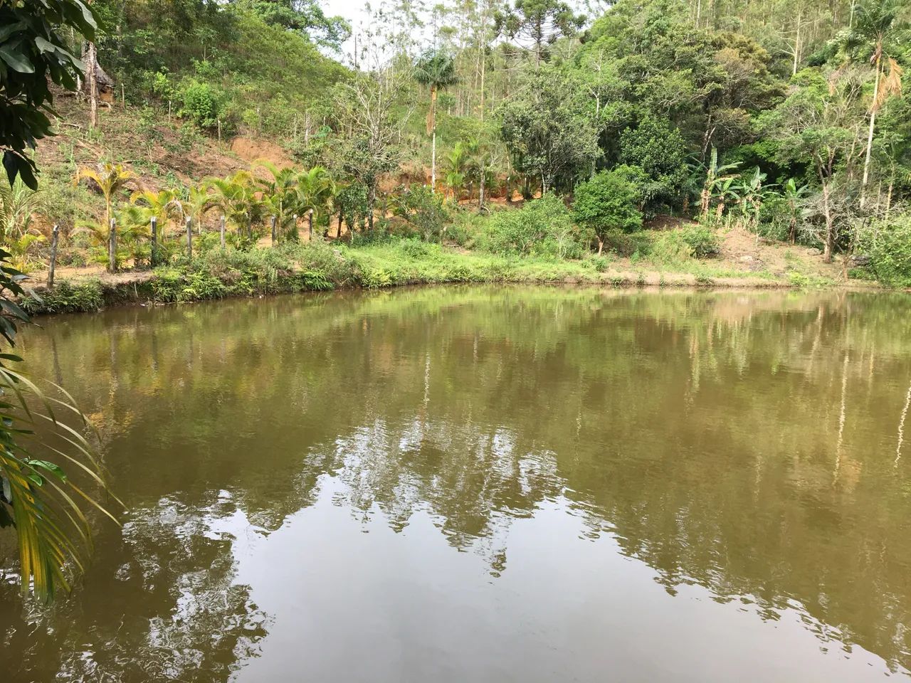 Vendo Sítio em Viana com 130mil m2 - Foto 5