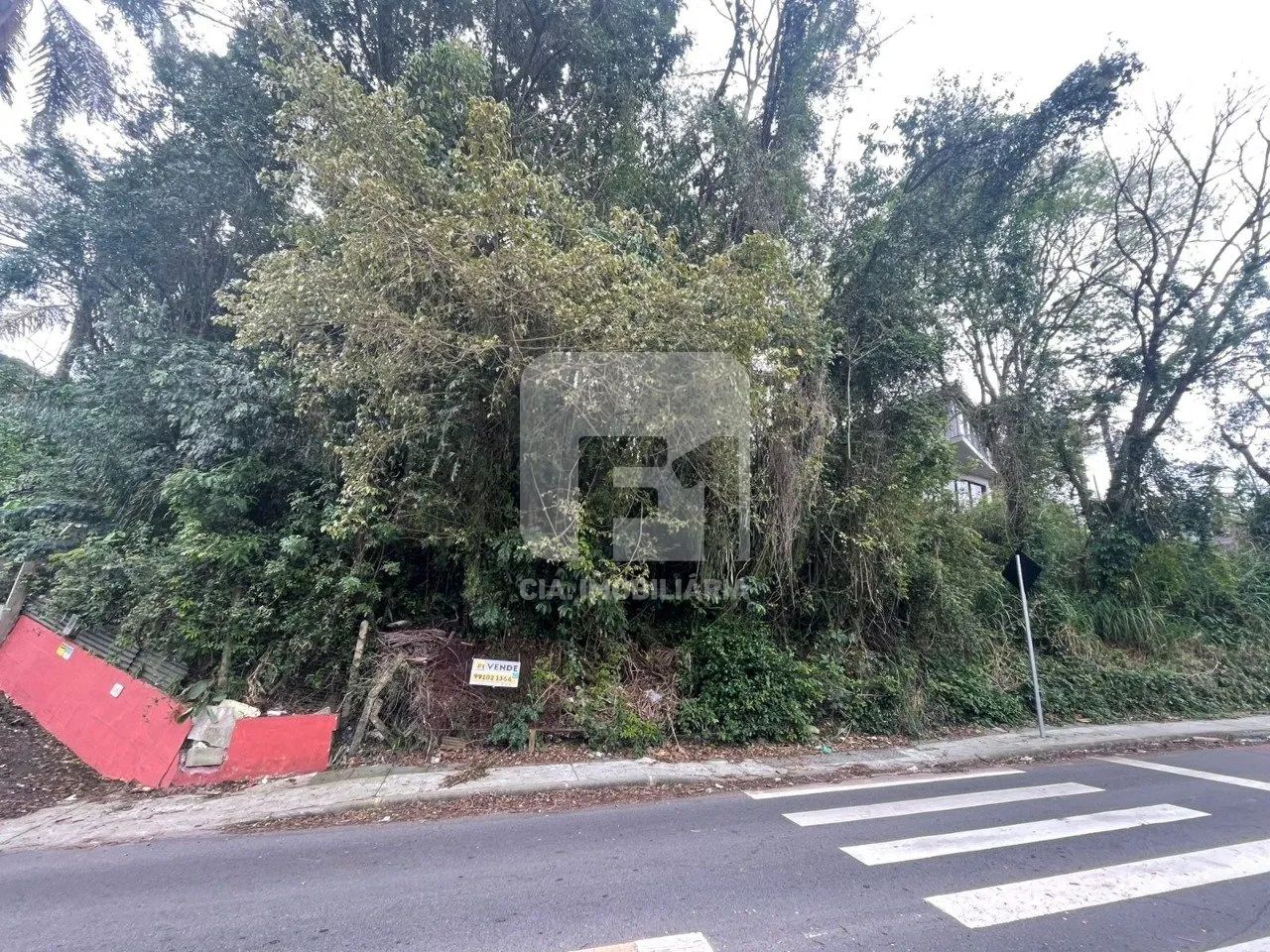 Terreno à venda na Lagoa da Conceição - Foto 3