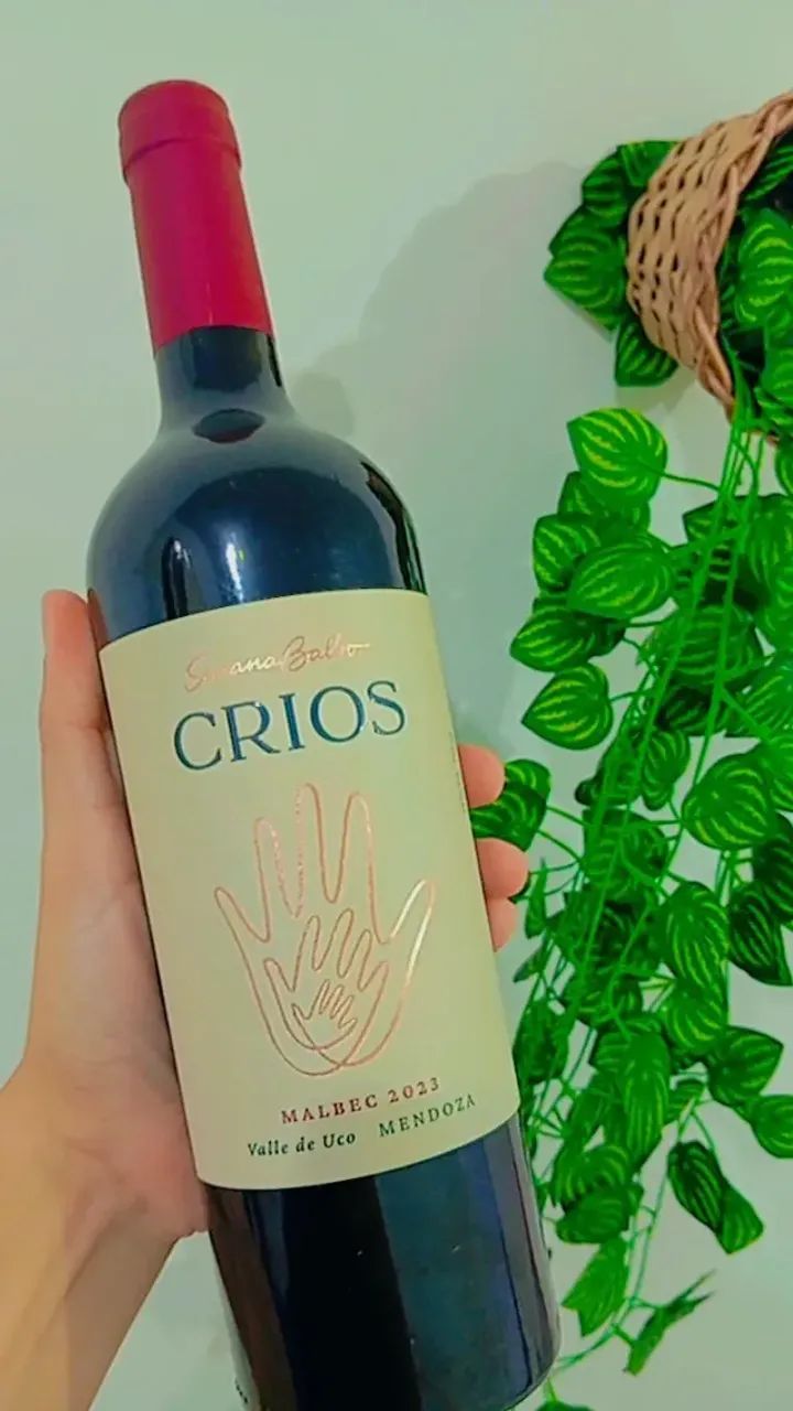 Vinho - Foto 2