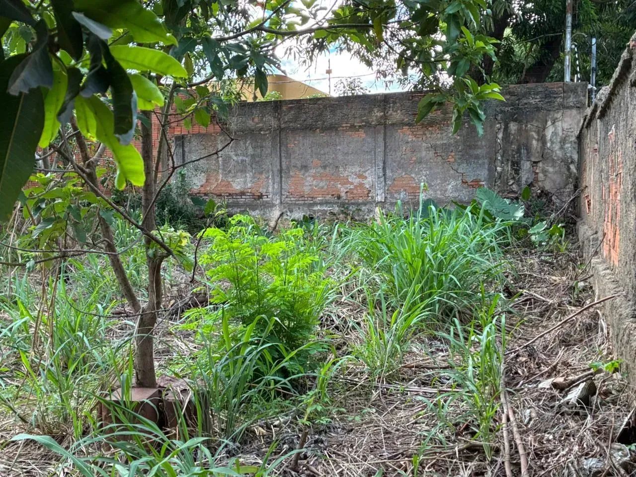 Terreno com 1121 m², bem localizado no Boa Esperança, Cuiabá - MT - Foto 5