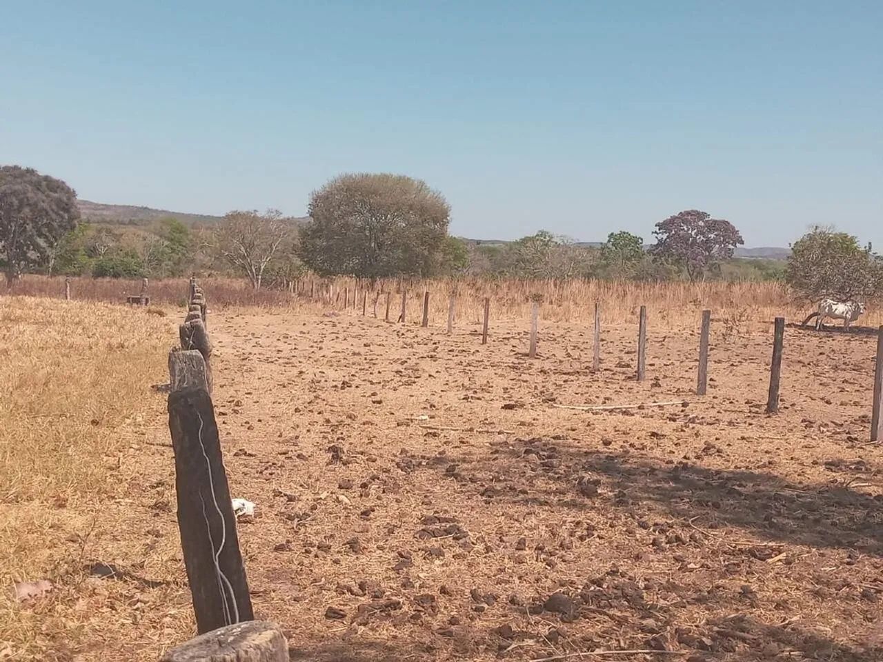 Imóvel rural, 668 m² no Zona Rural em Natividade - Foto 4
