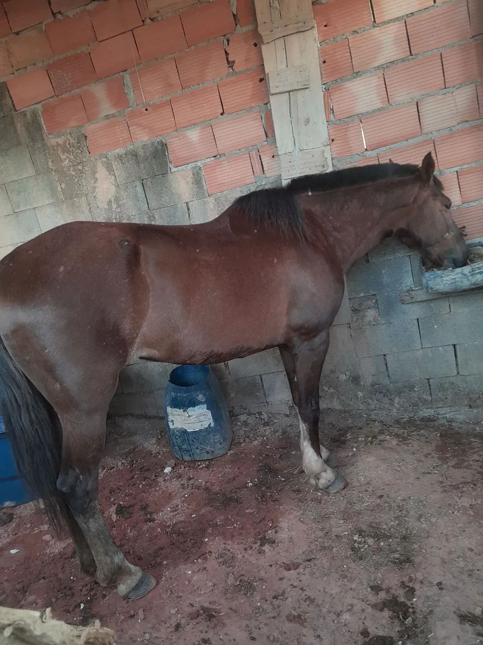 Vende se - Foto 3