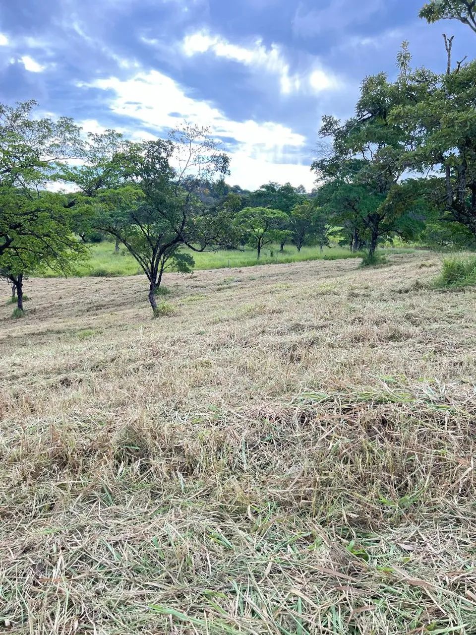 Fazendinhas em para de minas  - Foto 4