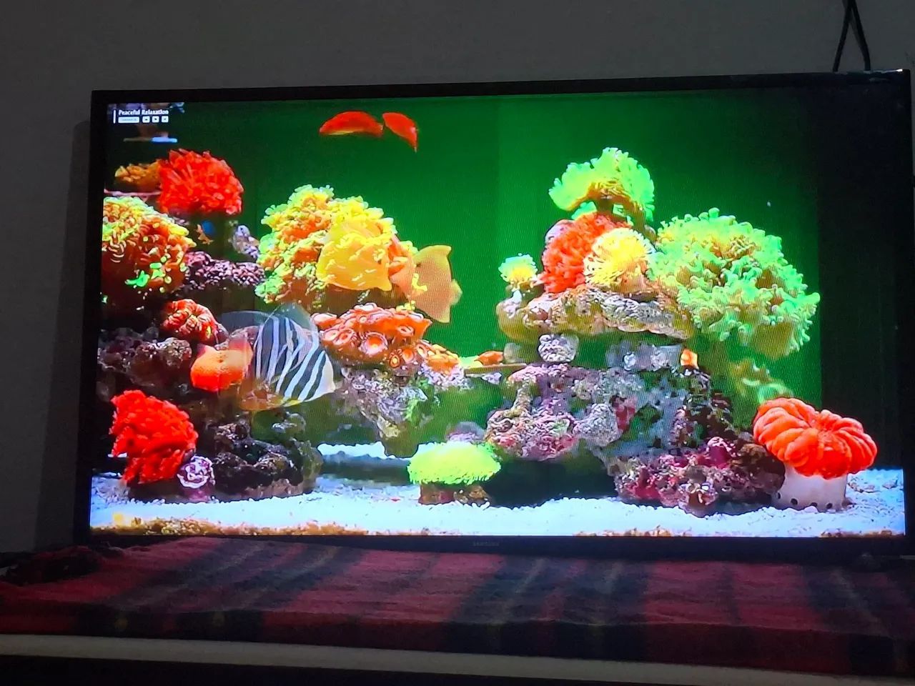 Tv philips smart 43" $850