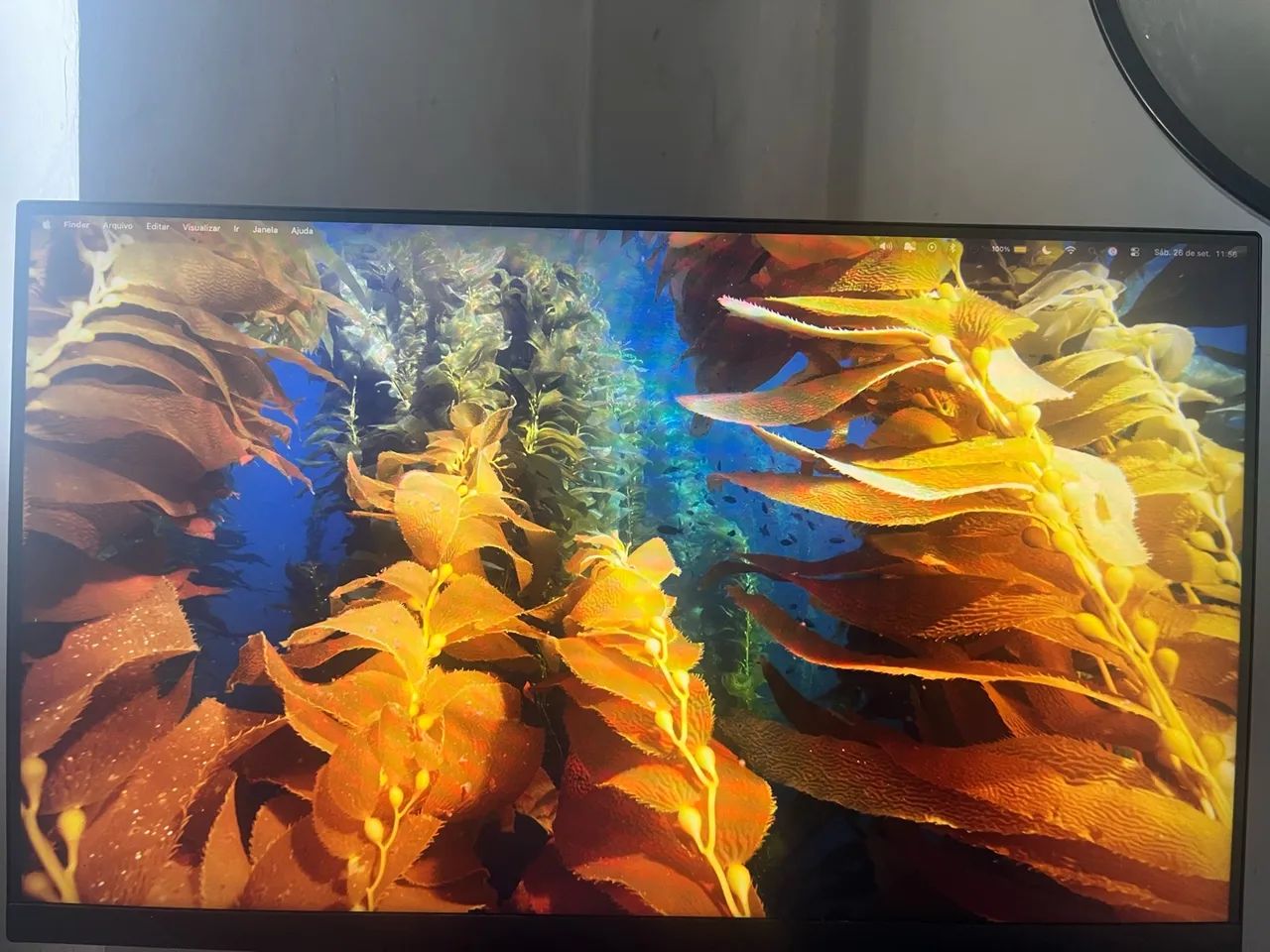 Monitor Dell - Foto 4