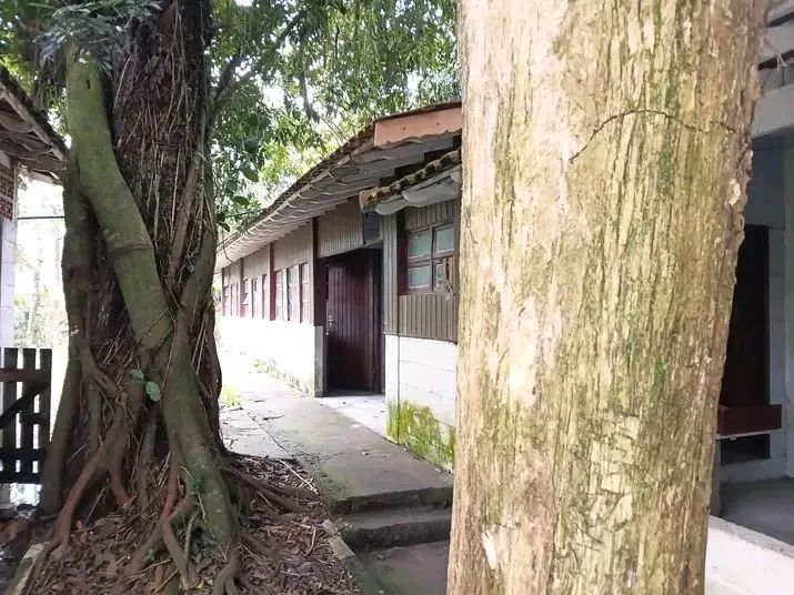 Chácara a venda preço pra vender rápido  - Foto 4
