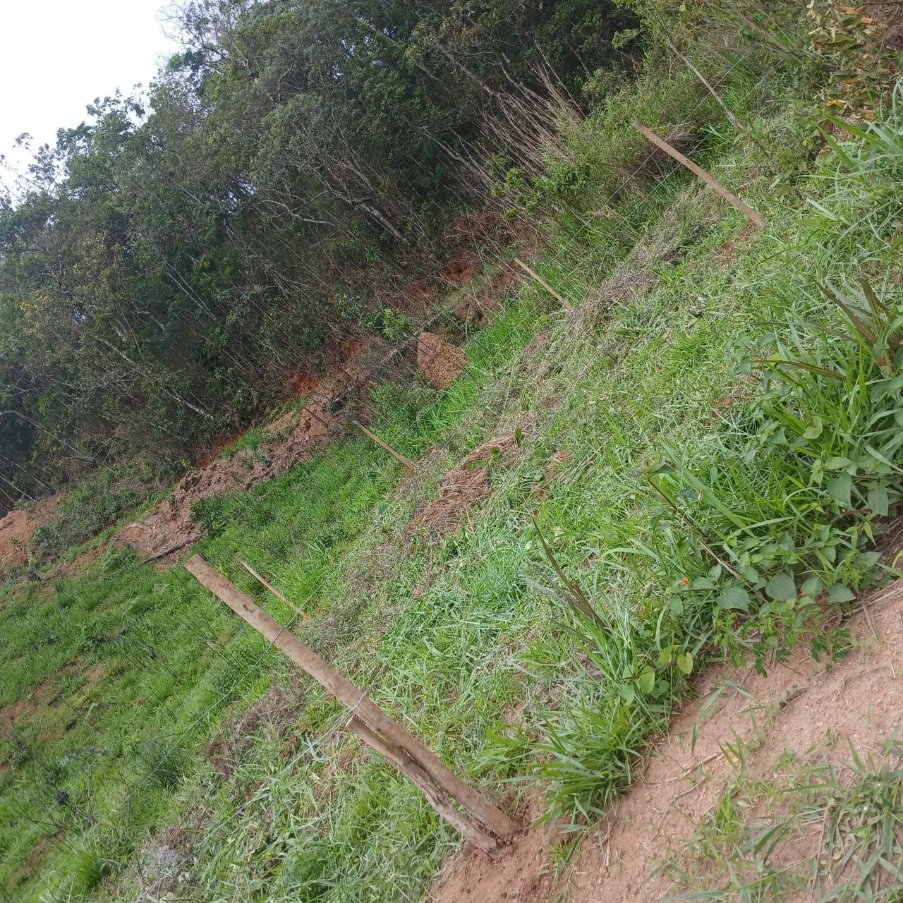 Lotes em ibitipoca  - Foto 3