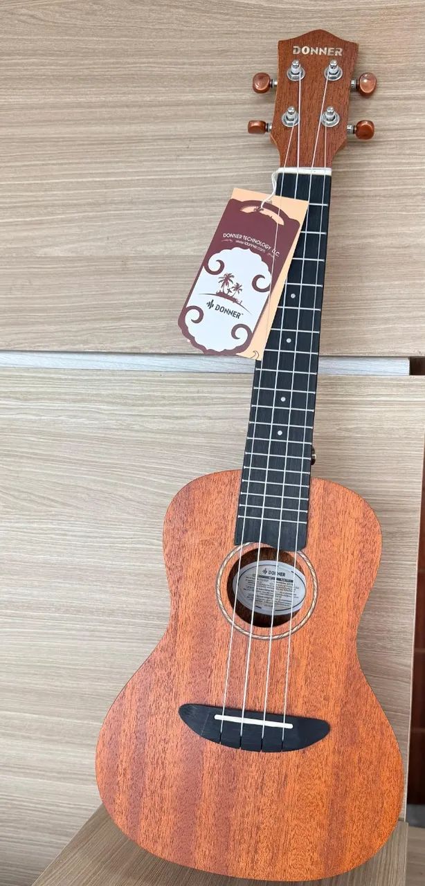 UKULELE CONCERT - Foto 5