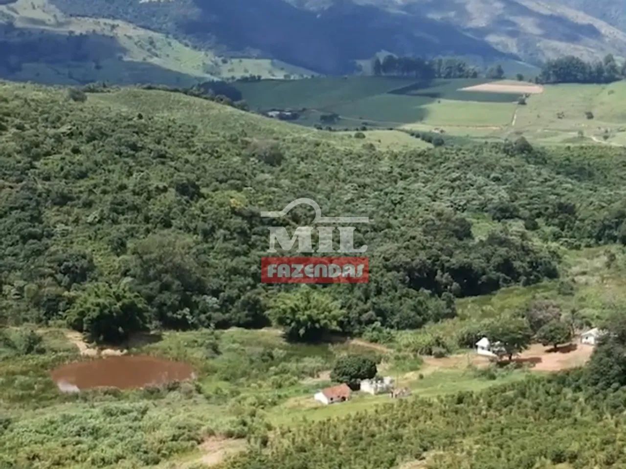 Fazenda Produtora de Café em SP (164 Hectares)