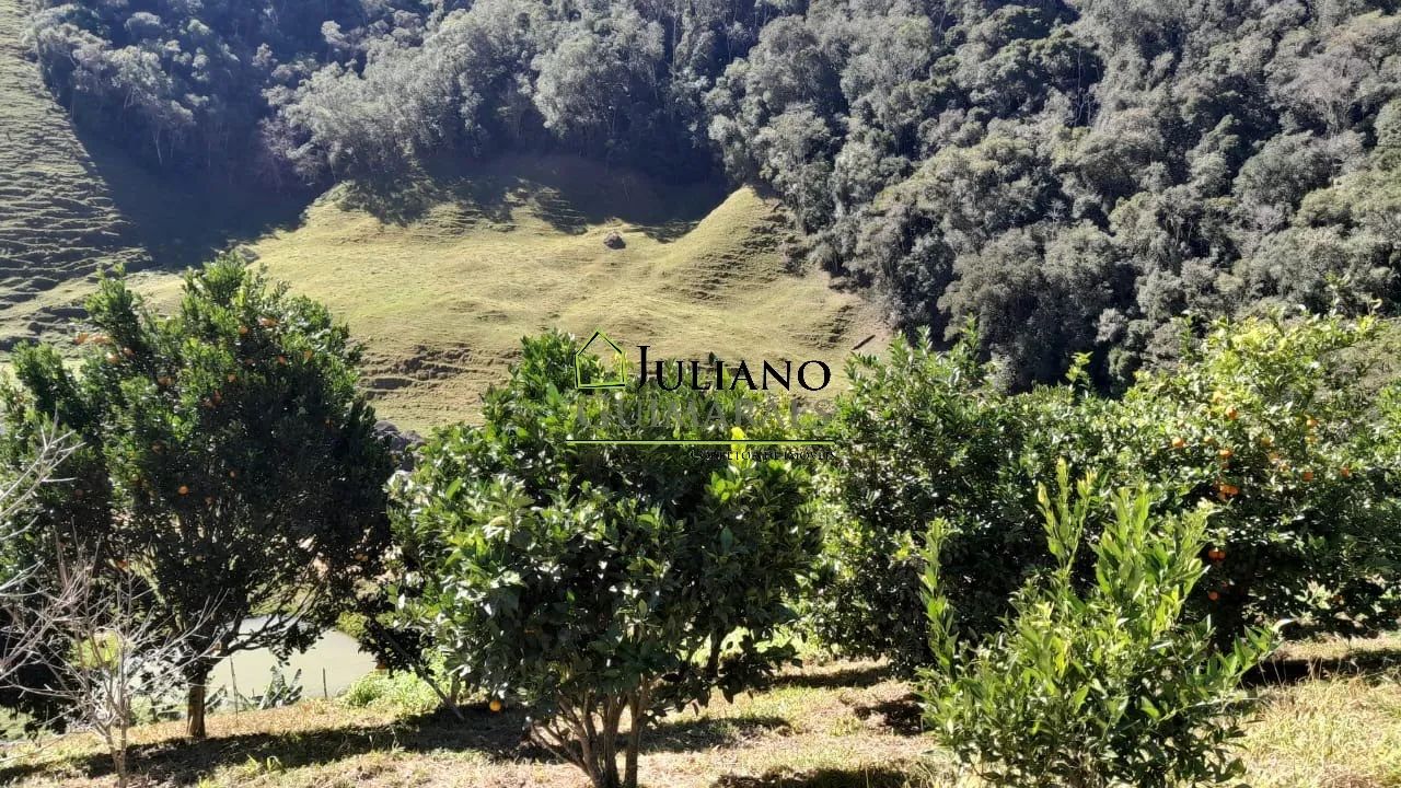 LINDO SÍTIO com 46,2 hectares À VENDA em ANGELINA/SC - Foto 2