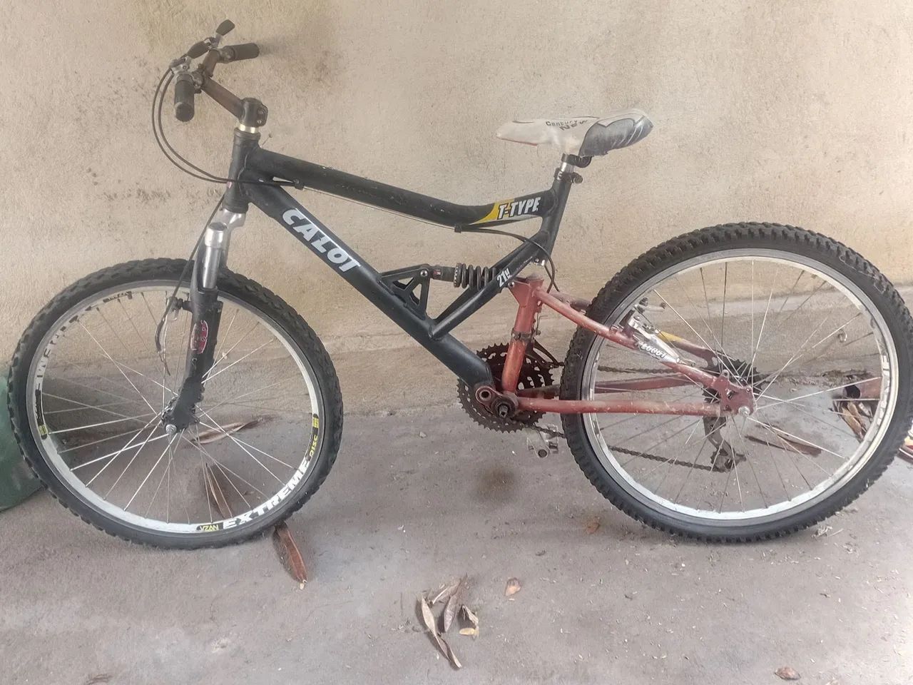 Bicicleta
