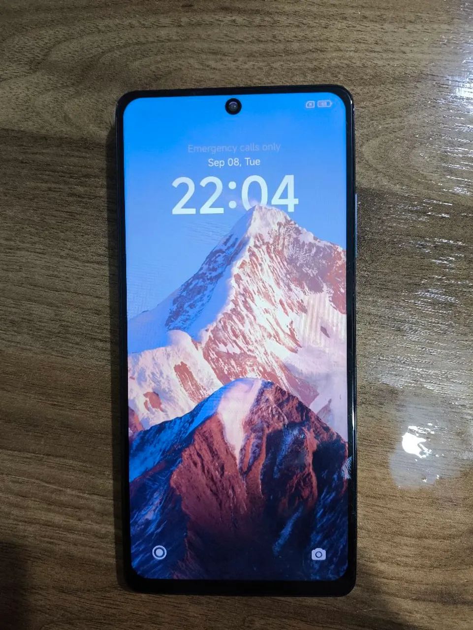 Celular Poco X5 Pro / 255GB (usado) 