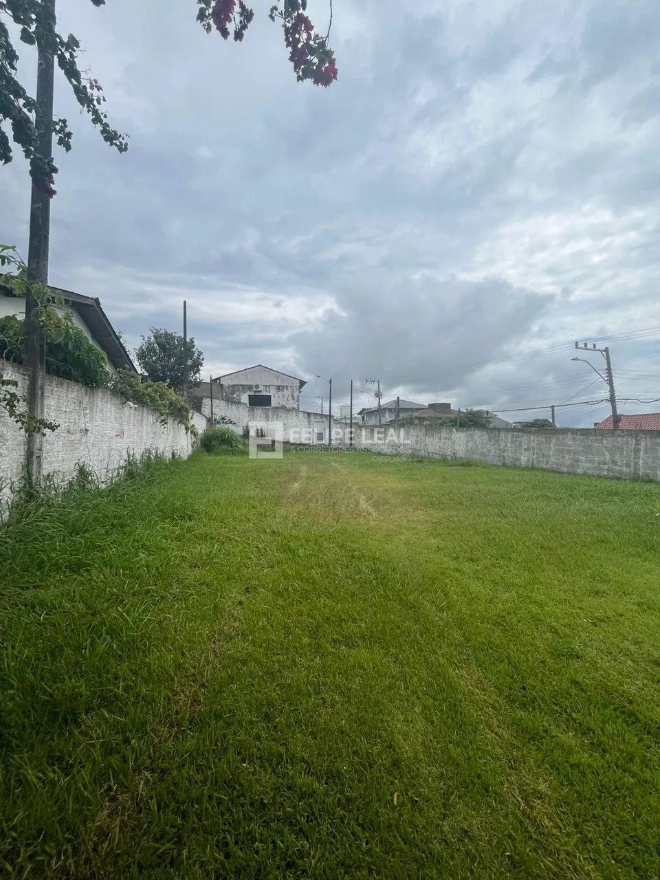Lote / Terreno em Jardim Atlântico - Florianópolis - Foto 2