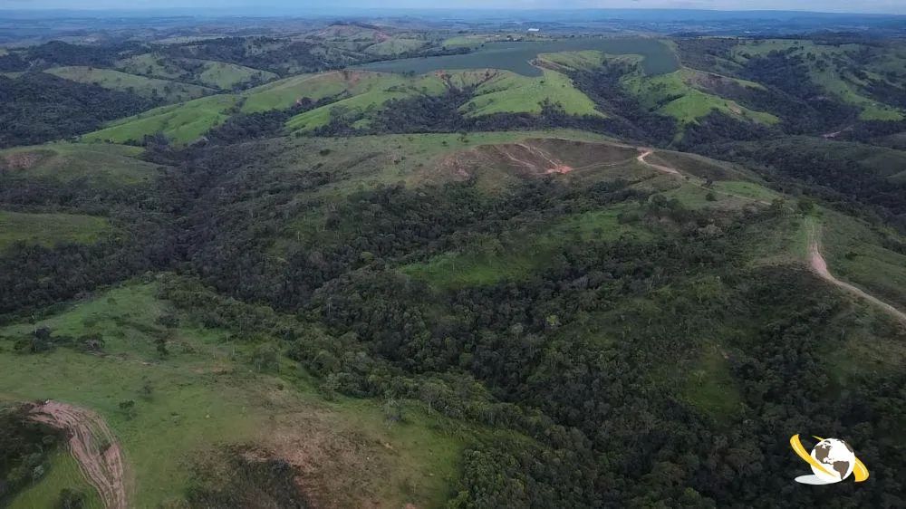 FAZENDA COM 273HEC PRA GADO, MONTADA - Foto 4