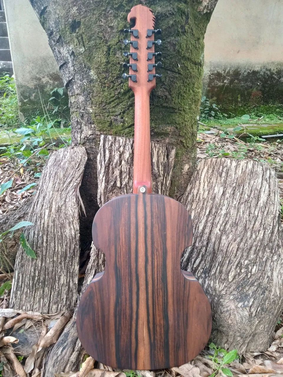 Viola caipira personalizada  - Foto 5