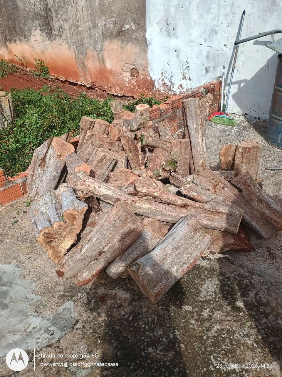 Doação lenha  - Foto 2