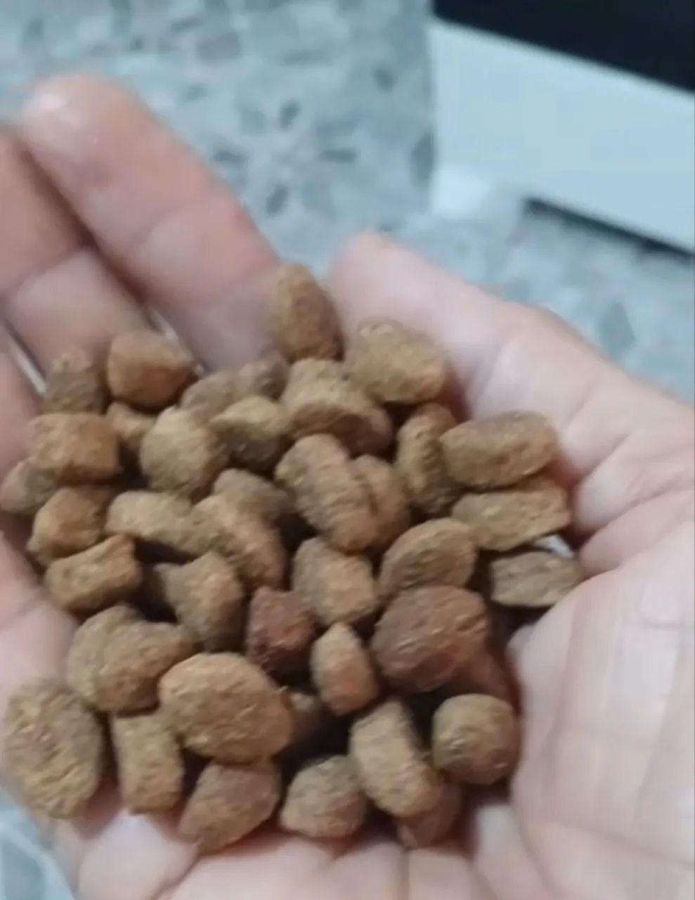 Ração 