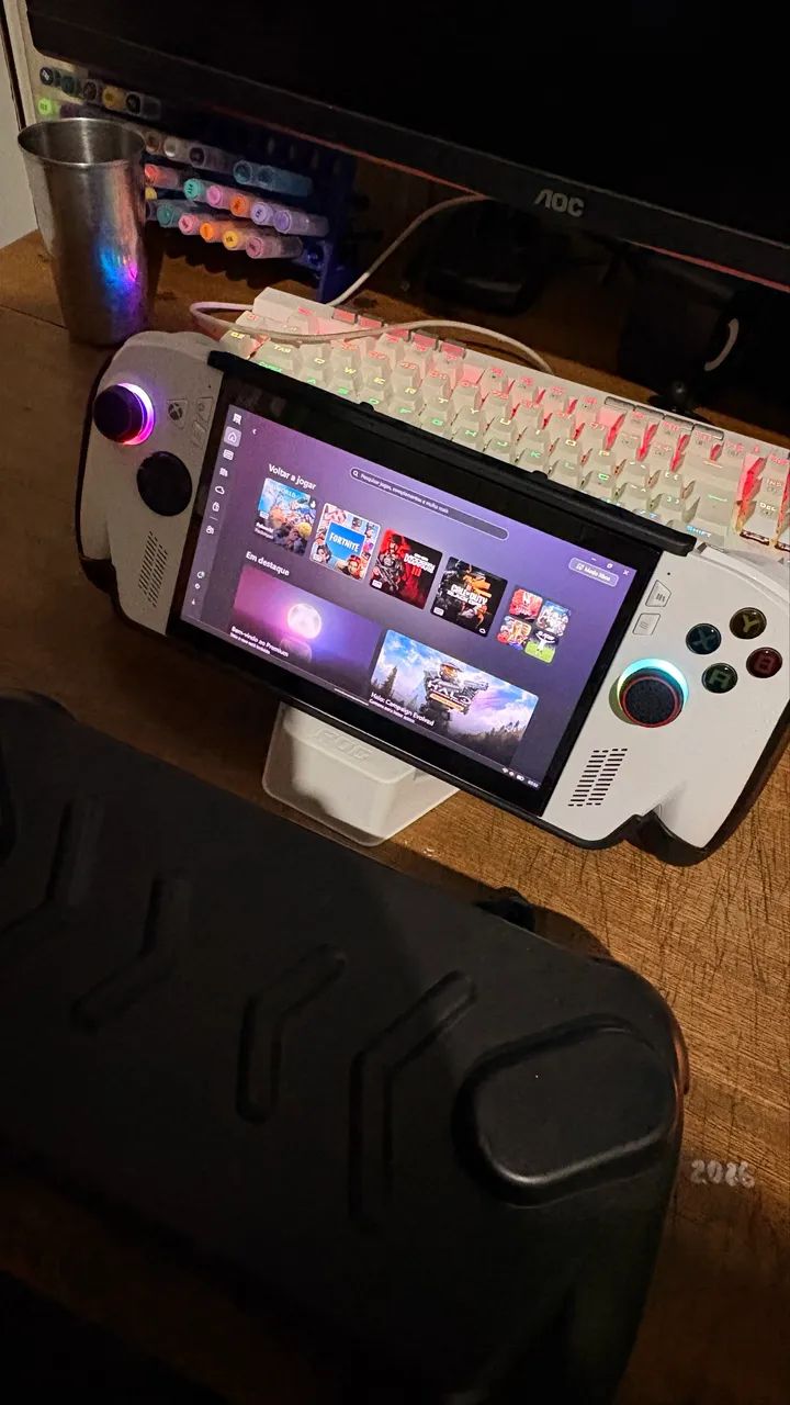 Xbox rogg ally