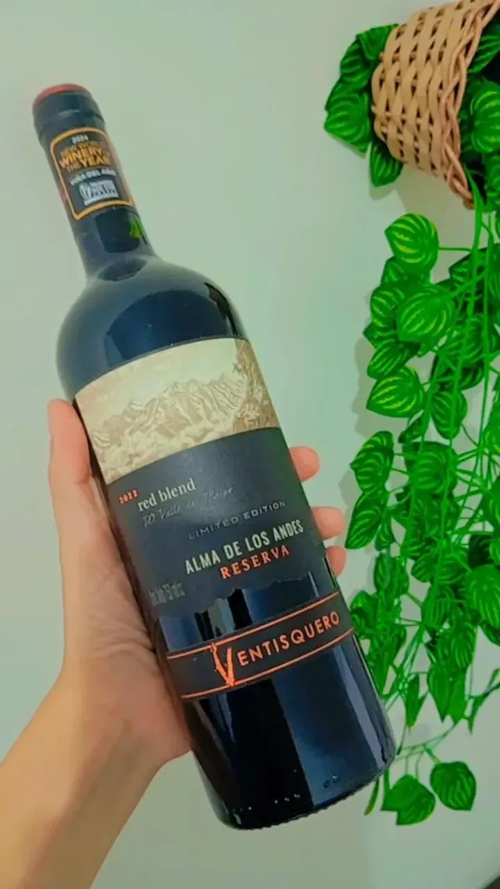 Vinho - Foto 3