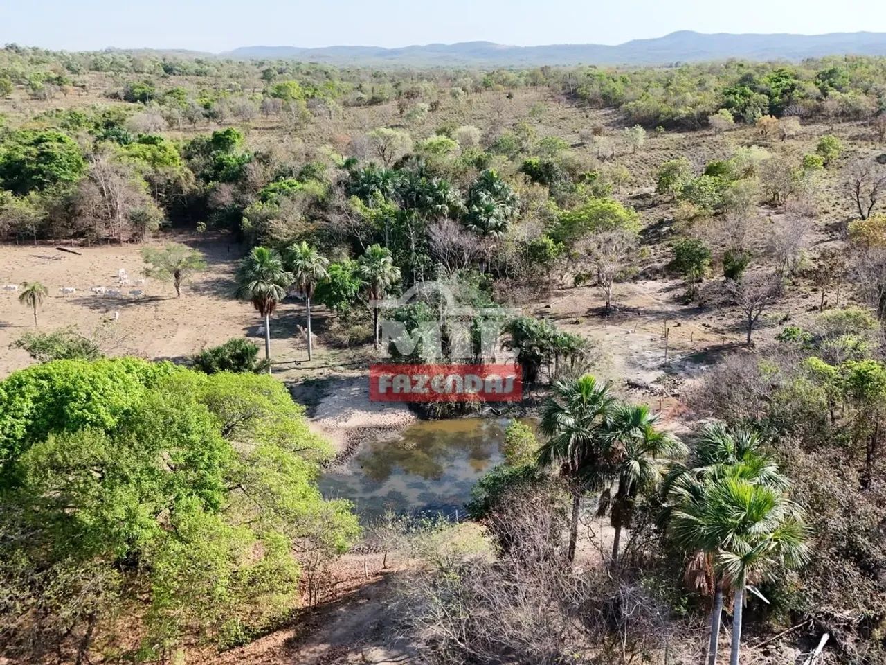 Fazenda 52 Alqueires (251,68 Hectares) Lua Nova - GO - Foto 3