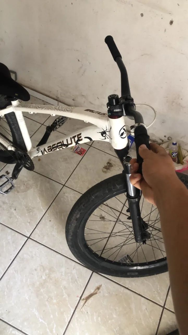 Quadro Brutus novo