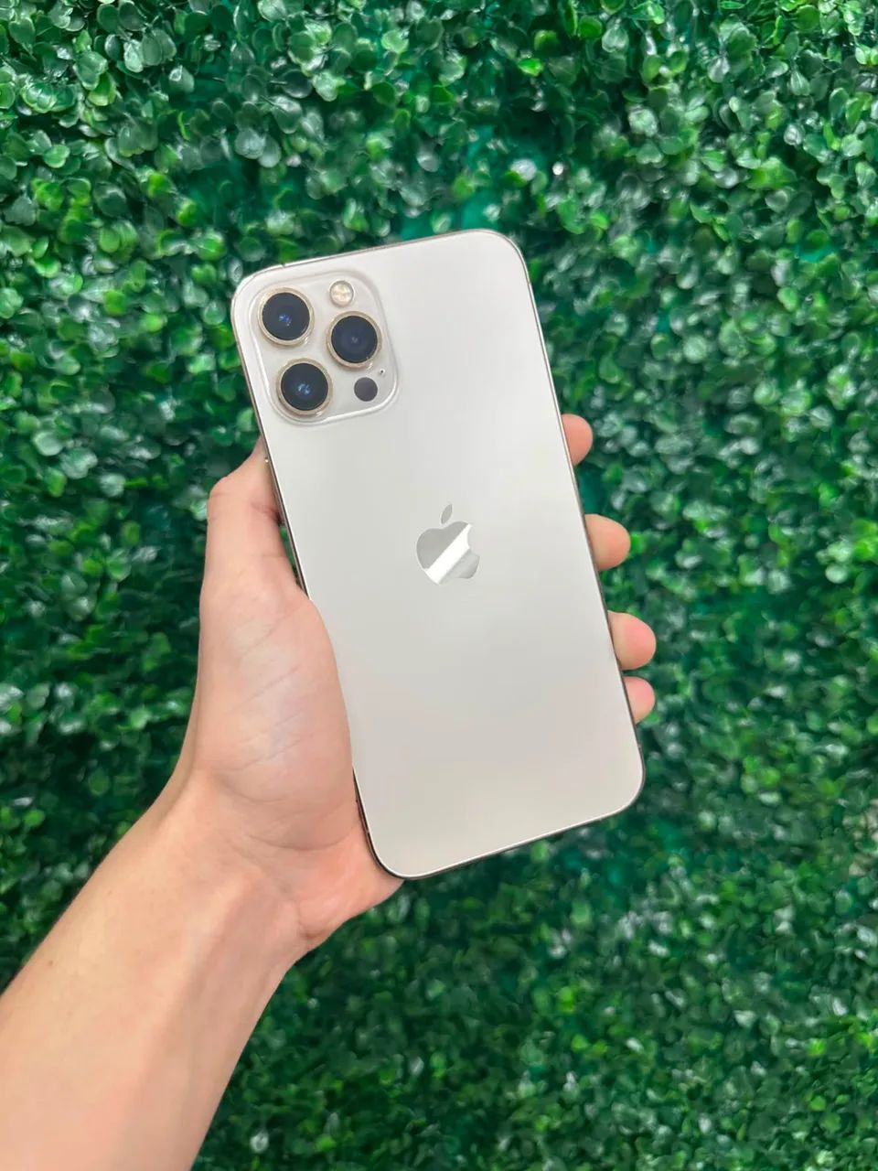 iPhone 12 Pro Max 256GB | Garantia de Loja - Celulares e