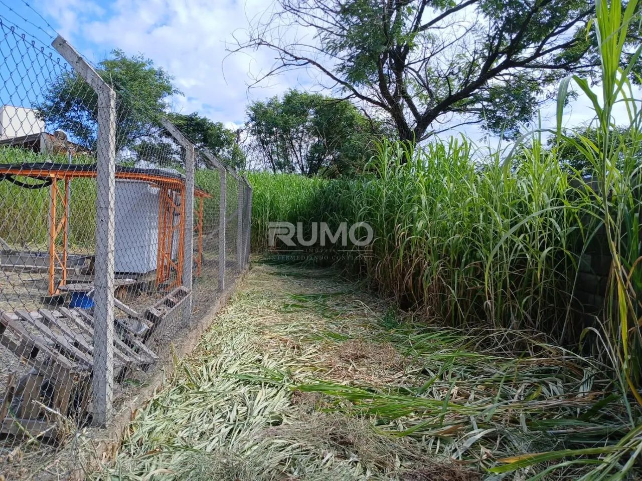 terreno - Parque Taquaral - Campinas - Foto 3
