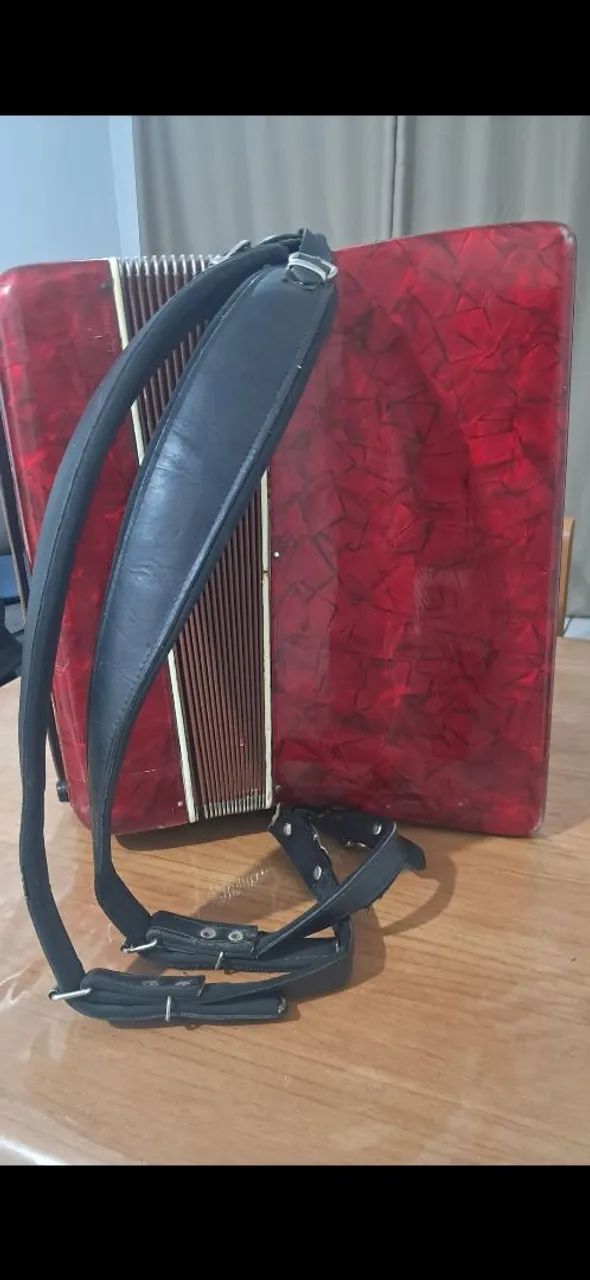 Acordeon - Foto 4