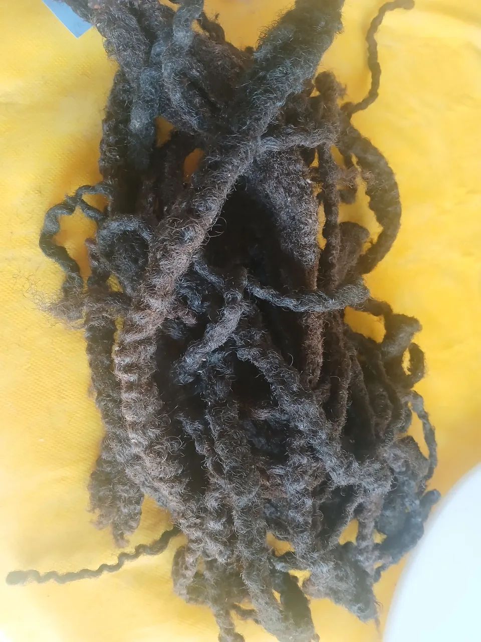 Cabelo rasta, humano. - Foto 2