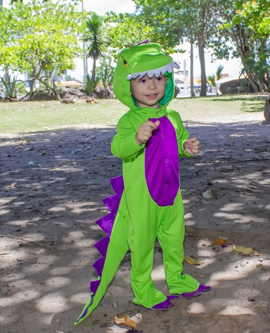 Fantasia Infantil Dinossauro Bebê 