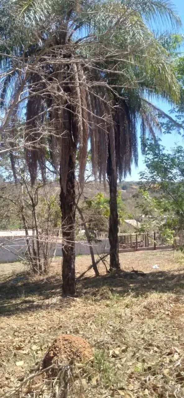 Imóvel para venda tem 1007 metros quadrados em Condominio Represa Ville - Capim Branco - M - Foto 11