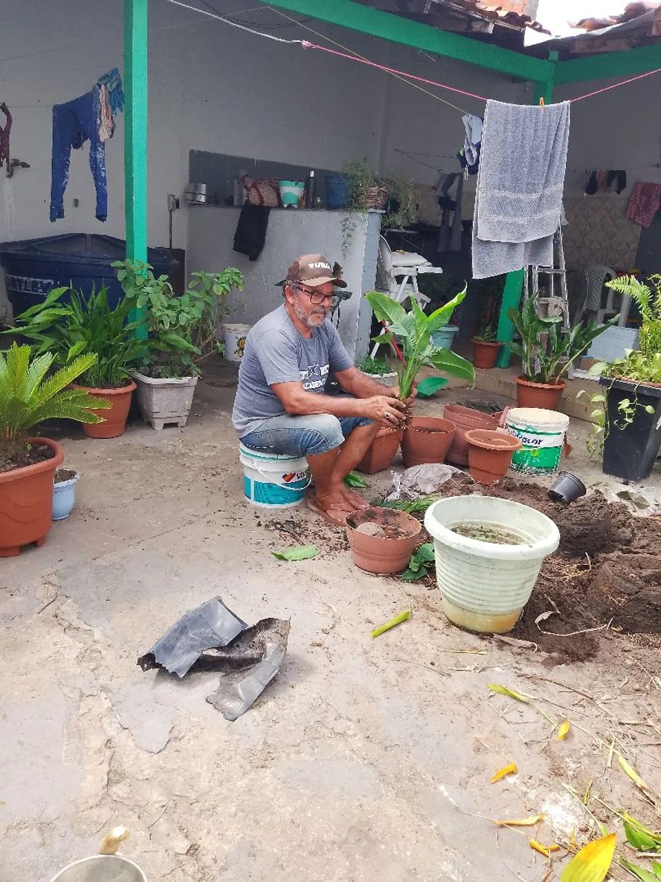 PLANTAS SERVÇOS E JADINAGENS - Foto 3