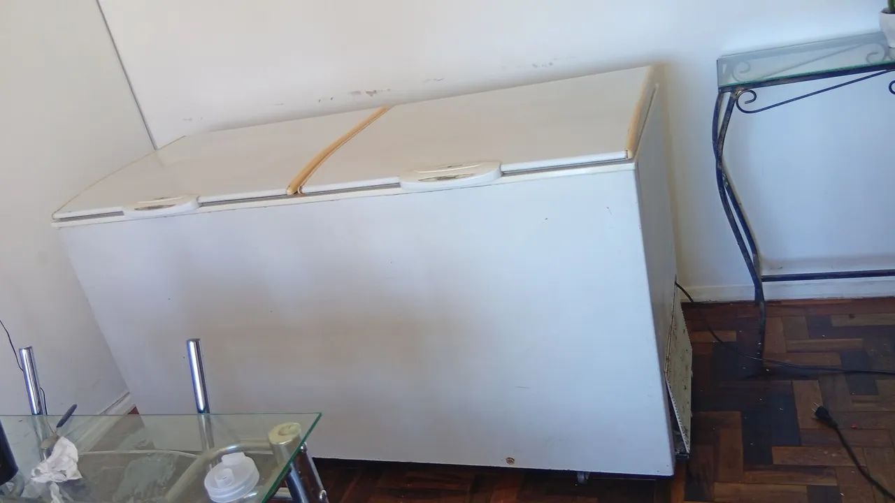 Freezel Horizontal 540l - Foto 3