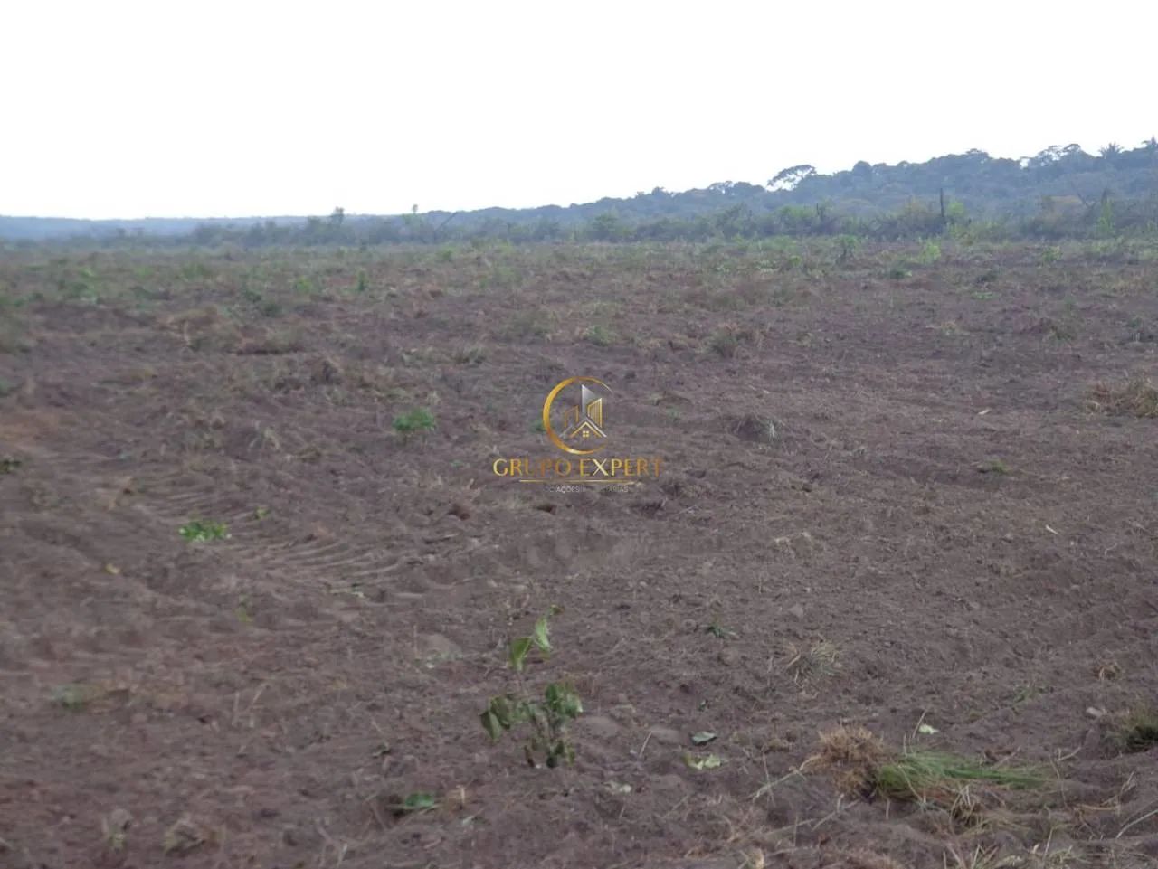 Fazenda à venda em Nova Canaã do Norte MT - Foto 5