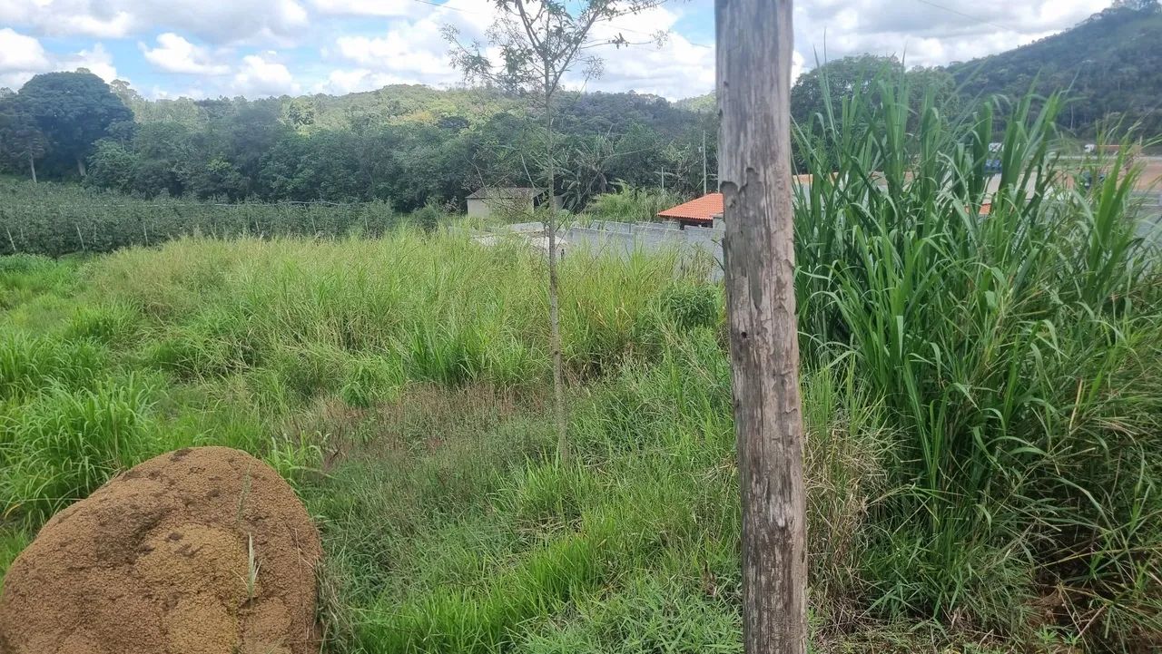Terreno rural