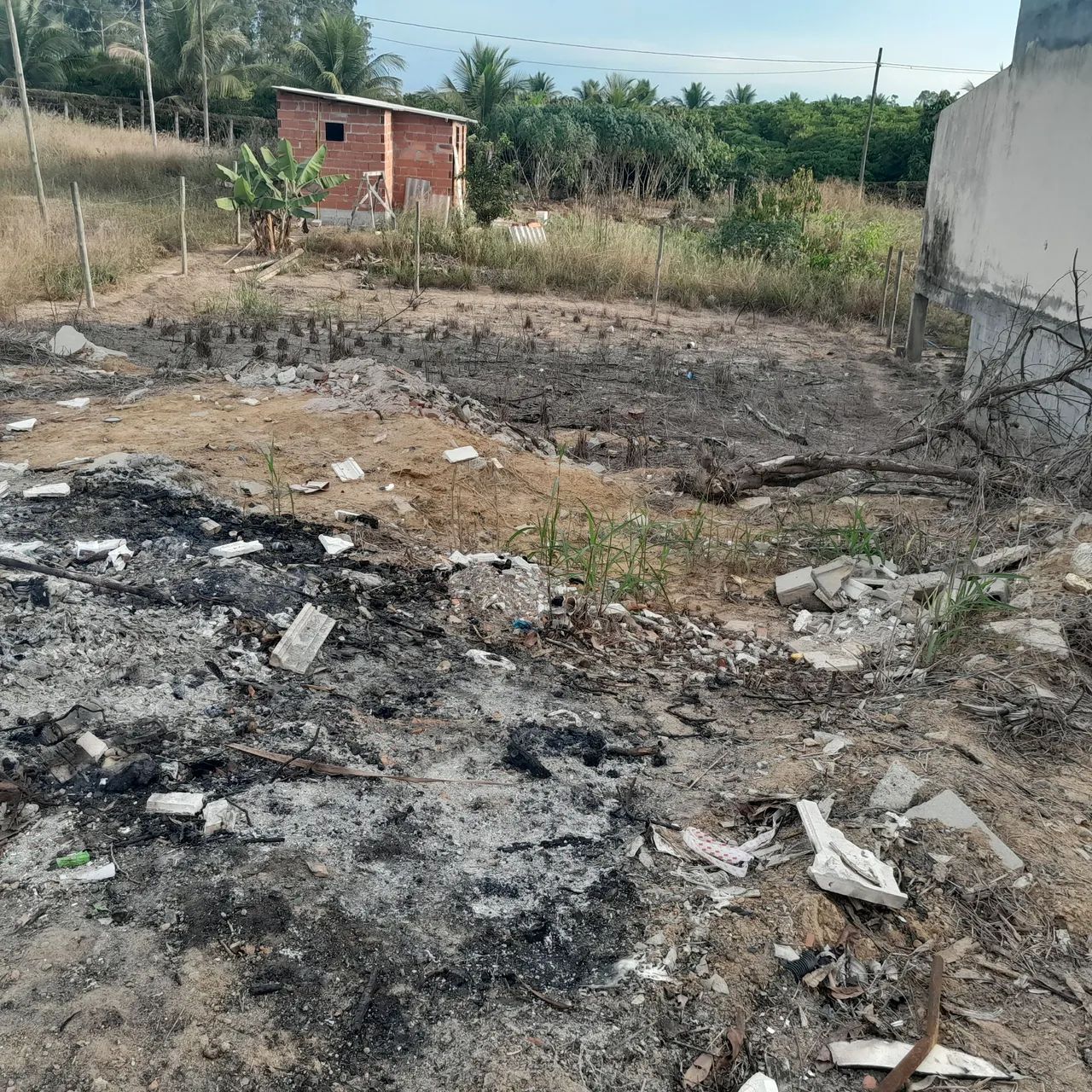 Lote - Foto 3