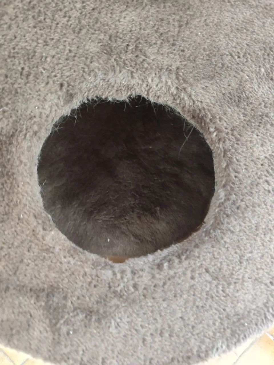 Casa de gato!  - Foto 3