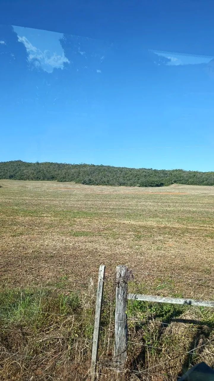 Vendo 97 hectares  - Foto 3