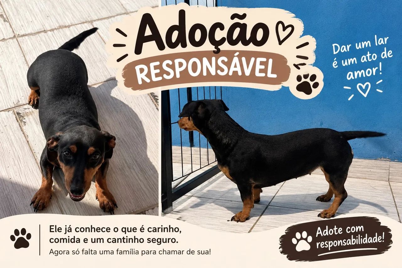 Adoção Responsável 