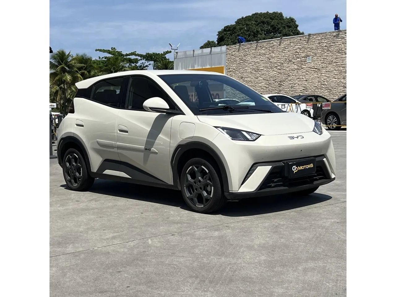 BYD Dolphin Mini (Elétrico) 2026 - Foto 3