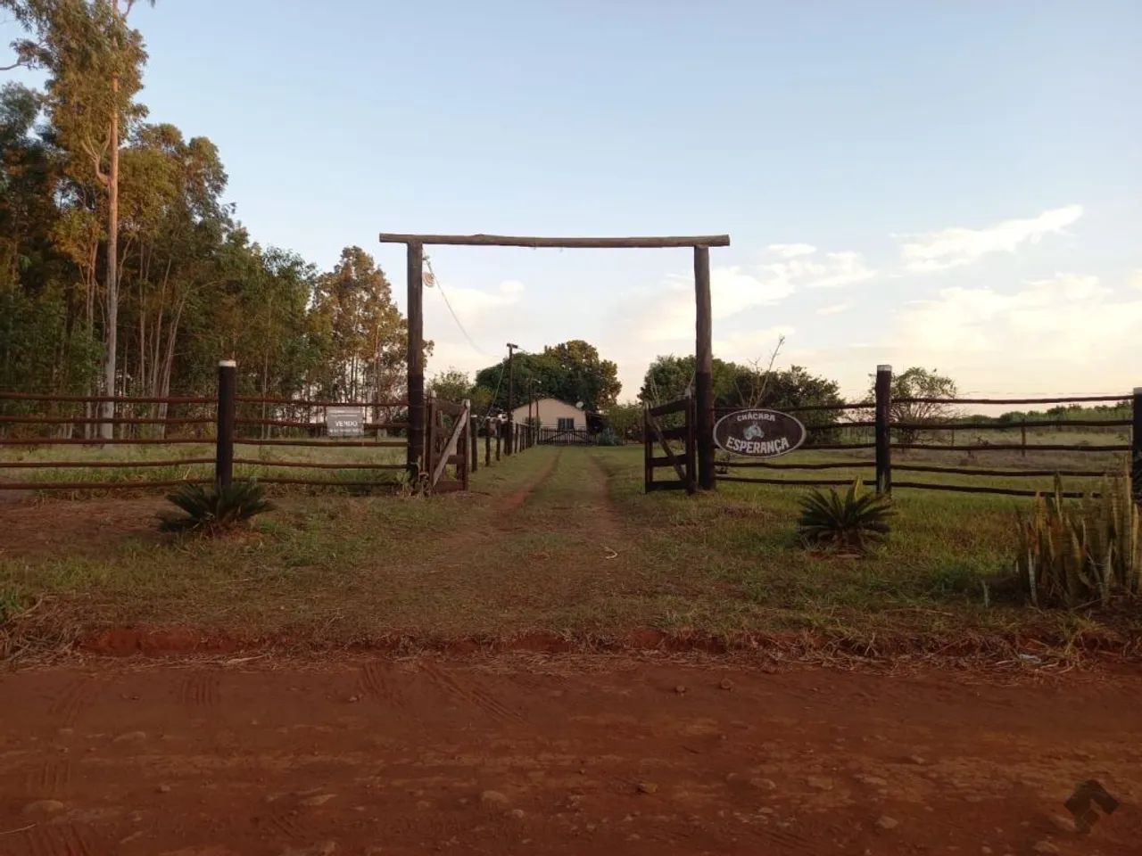 Chácara de oportunidade  - Foto 2