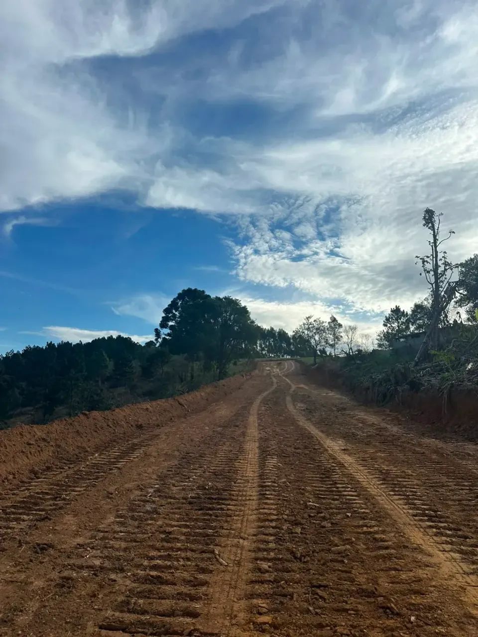 Chácara dos sonhos: 1000m² com nascente natural - Foto 4