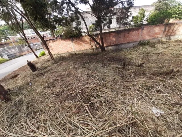 Lote Bairro Liberdade - 253,61 m² - Foto 4