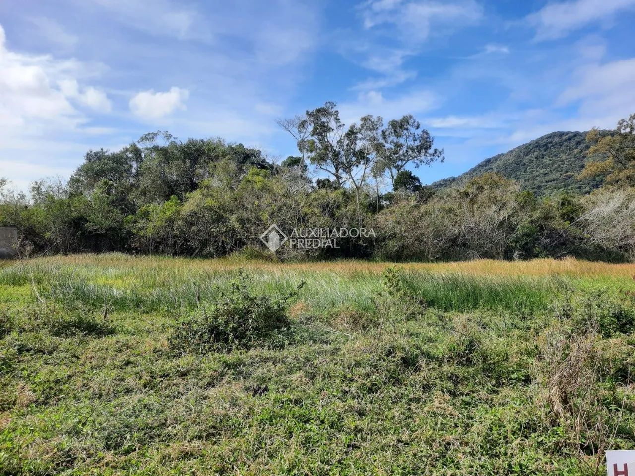 Lote Exclusivo com Matrícula no Sul da Ilha, Próximo ao Aeroporto e Campeche! - Foto 5