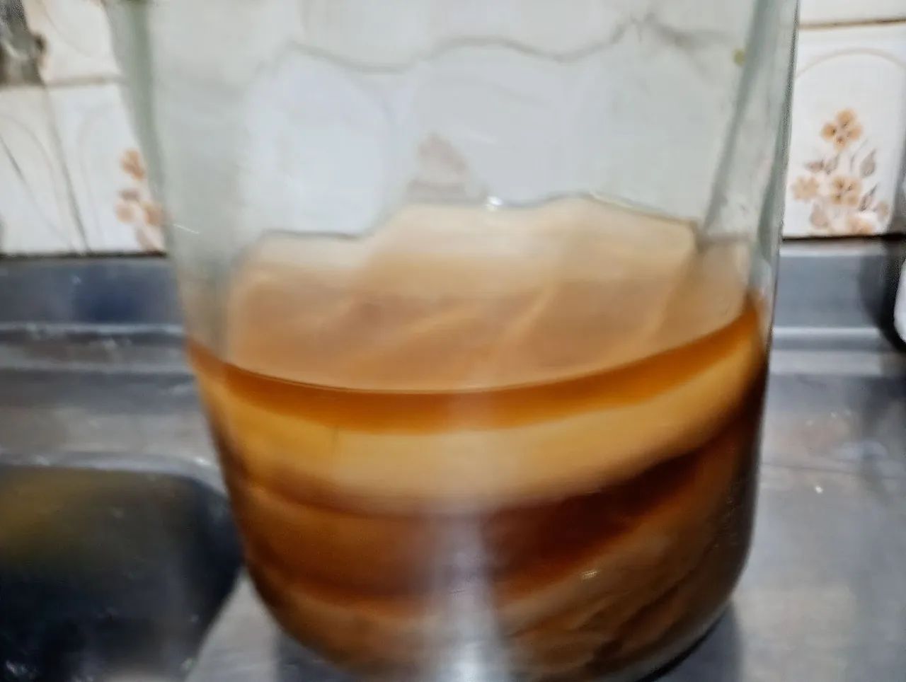 Scoby de kombucha - Foto 2