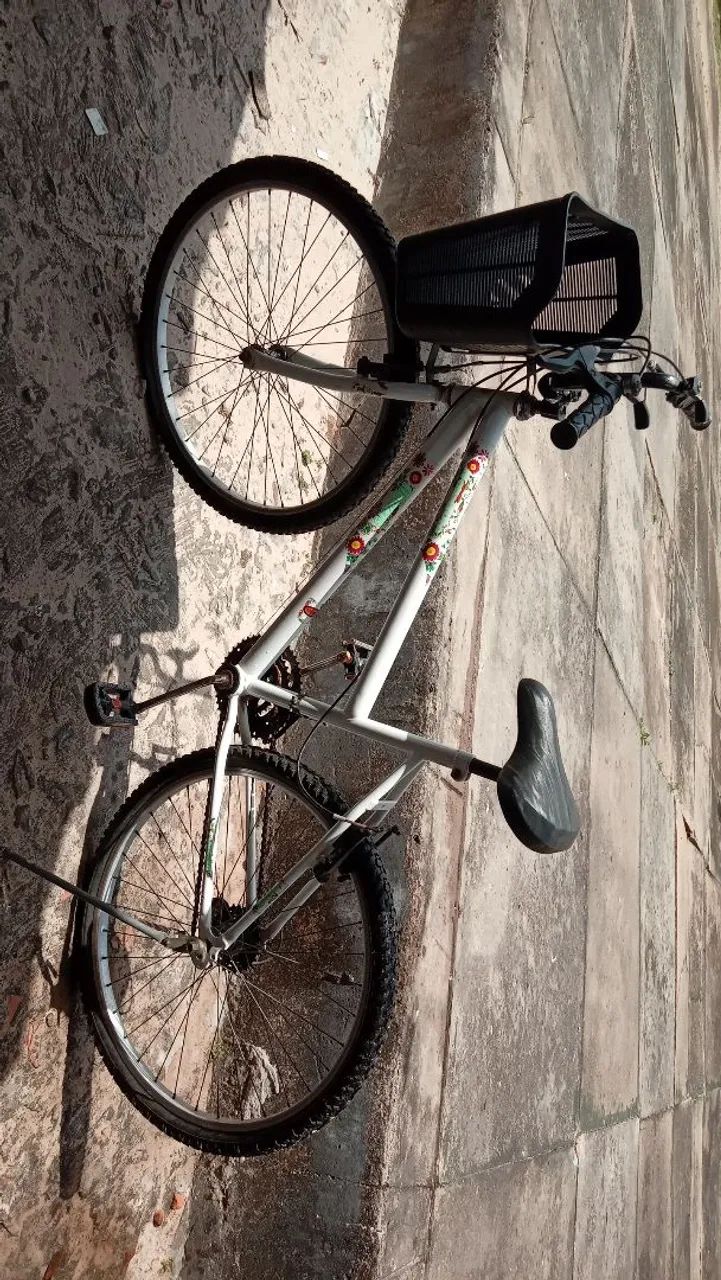 Bicicleta de Passeio 
