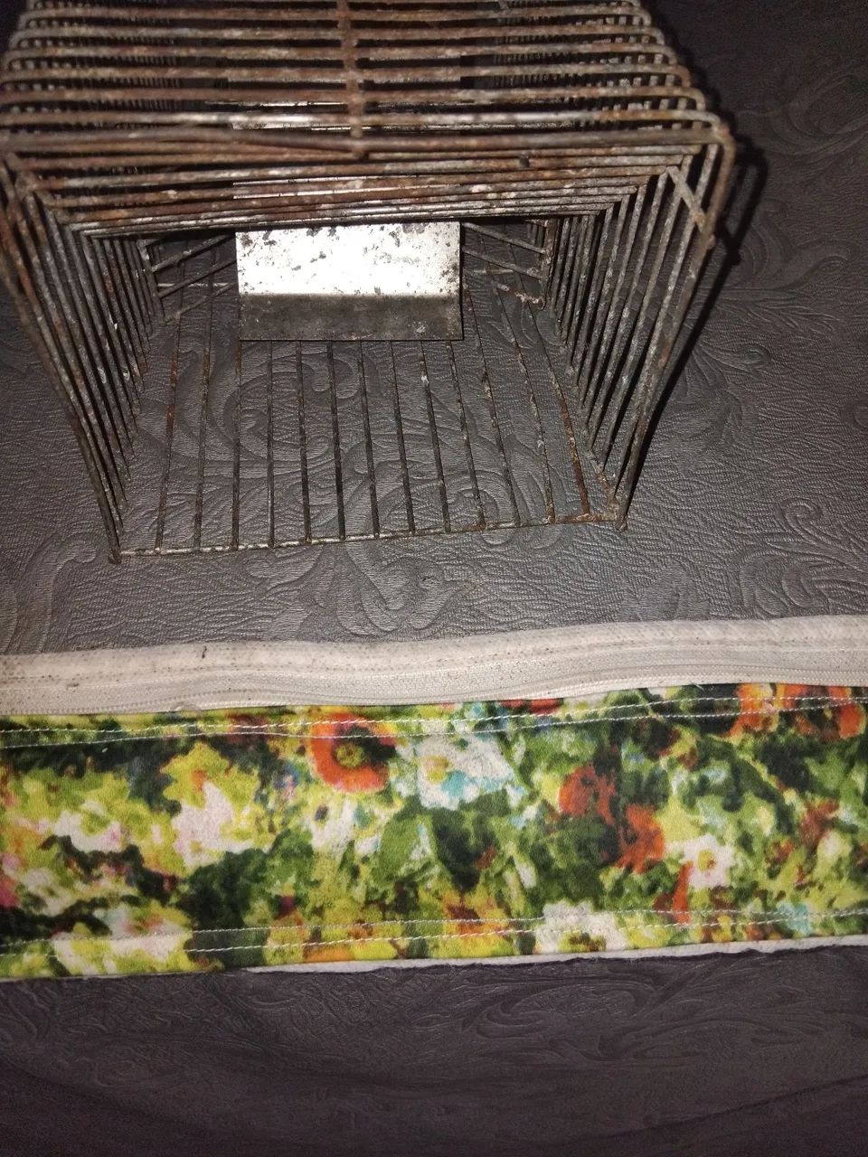 Vendo ratoeira grande - Foto 2